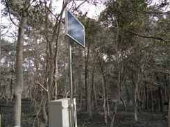 写真：solar panel